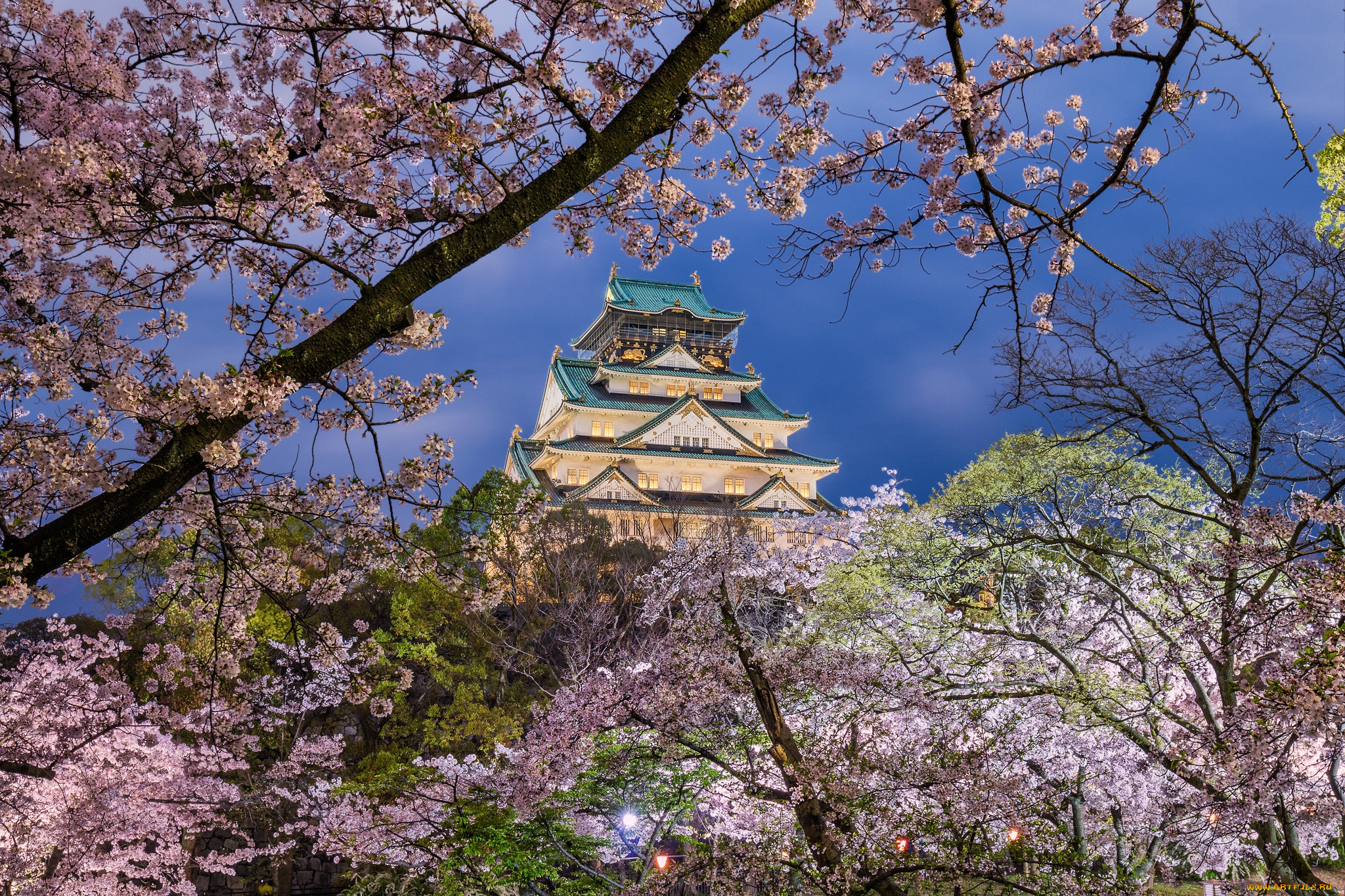 osaka castle, ,  , , 